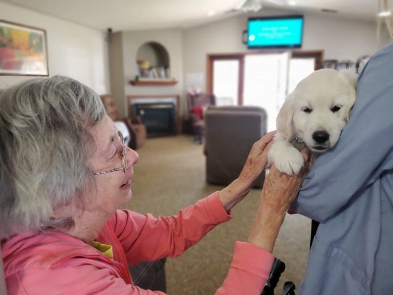 Diane petting a puppy dog